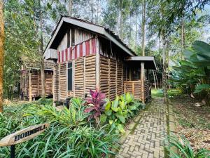Gallery image of The Great Outdoors Uganda in Vumba