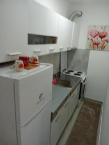 a kitchen with a white refrigerator and a stove at Vido in Belgrade +11 photos