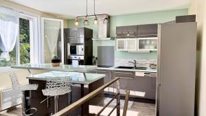 une cuisine équipée d'appareils en acier inoxydable et de placards gris dans l'établissement Le refuge, Wifi, Parking privé, Proche Limoges, terrasse, jardin, à Le Palais-sur-Vienne