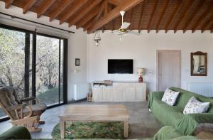 a living room with a green couch and a tv at Orama Mountain Villa Farmakas in Nicosia