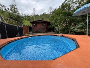 een groot blauw zwembad bovenop een huis bij Chalet El Riachuelo in La Suiza