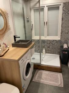 Un baño con lavabo y lavadora. en Le Lodge BelAir, en Le Tampon