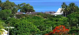 una casa en una colina con árboles y flores en Coco Carïb - Cabane vue Mer & Massages, en Deshaies