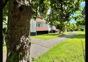 a tree next to a sidewalk next to a building at Ferienwohnung Inselzoo der WAG in Altenburg