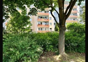 a tree in a park with a building in the background at Ferienwohnung Inselzoo der WAG in Altenburg +1 photo