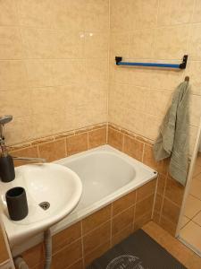 une salle de bain avec une baignoire et un lavabo dans l'établissement Byt Ostrava Poruba, à Pustkovec