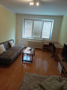 un salon avec un canapé et une table dans l'établissement Byt Ostrava Poruba, à Pustkovec