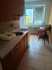une cuisine avec un évier et un plan de travail dans l'établissement Byt Ostrava Poruba, à Pustkovec