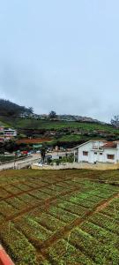 Fotografie z fotogalerie ubytování HILL BIRD HOME STAY Ooty v destinaci Ooty