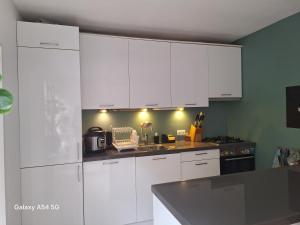 Una cocina blanca con gabinetes blancos y una estufa. en Large family house in Tanthof, Delft, en Delft