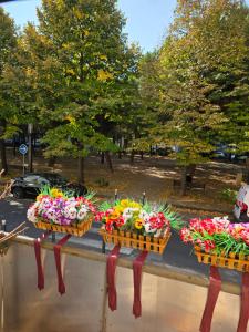 tres cestas de flores en una pared de un parque en Studio Antigone centre ville, en Montpellier