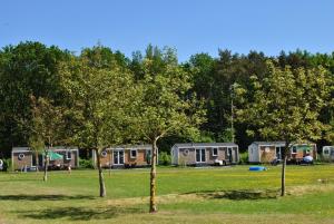 a row of mobile homes in a field with trees at Chalet 4 persoons in Hoogersmilde