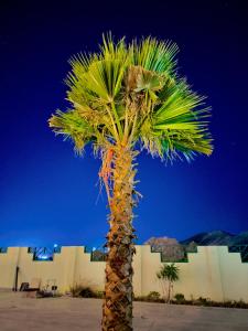 Φωτογραφία από το άλμπουμ του Mazari στη Μάρσα Αλάμ