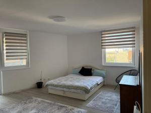 a bedroom with a bed and two windows at Apartment Lamele Bugojno in Bugojno