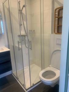 a bathroom with a shower and a toilet at Bungalow 049 in Petten