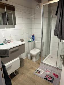 a bathroom with a shower and a toilet and a sink at Duplex with spectacular mountain views for 8 in Porté-Puymorens +9 photos