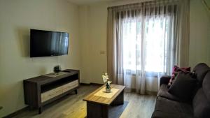 sala de estar con sofá y TV de pantalla plana en Apartamentos El Gallo, en Marbella