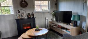 a living room with a fireplace and a television at B&B Ebbenbroek in Bruchterveld