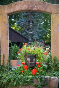 a hanging flower basket with flowers in a garden at La ferme du Franz in Diefmatten