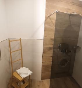 une douche avec une porte vitrée dans une salle de bain dans l'établissement private parking,old town,52m2,terrace,no stairs, newly renovated,, à Ingolstadt