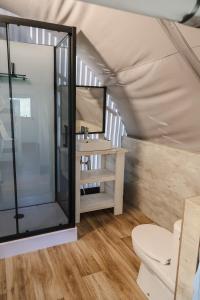 - bagno con doccia e servizi igienici in una tenda di Paarden lodge a Hoogersmilde