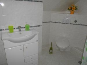 Koupelna v ubytování Apartment U Erlebachů