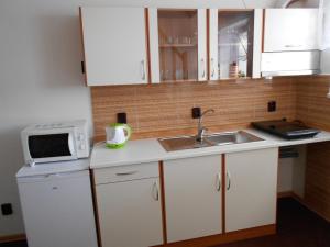 Kuchyň nebo kuchyňský kout v ubytování Apartment U Erlebachů
