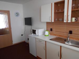 eine kleine Küche mit Mikrowelle und Spüle in der Unterkunft Apartment U Erlebachů in Černý Důl