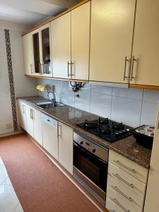 Kuchyň nebo kuchyňský kout v ubytování Vilamoura apartment + 7 fotografií