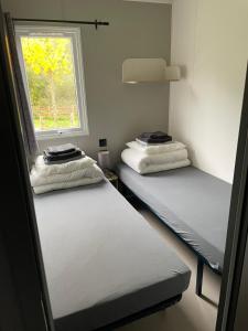 Gallery image of LetzCamp Mullerthal-Lodge 6 Pers in Beaufort