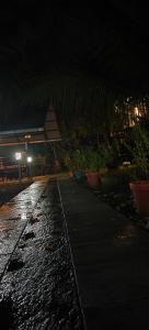 a walkway at night with plants and a building at Flumen Resort in Ernakulam +1 photo