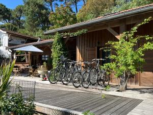 eine Gruppe von Fahrrädern, die außerhalb eines Gebäudes geparkt werden in der Unterkunft Chambre d'Hôtes - Village Petit Piquey in Cap-Ferret