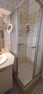 a bathroom with a shower and a sink at Ferienwohnung Naturblick in Bad Mitterndorf +13 photos