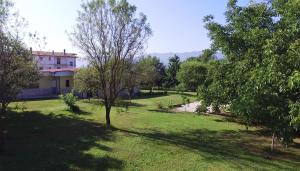 a view of a yard with a house and trees at B&B Luna in Valmontone