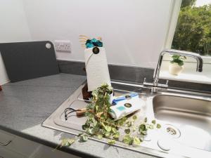 ピーターバラにあるFourのキッチンシンク(ペーパータオル付)