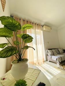 Una planta grande en un jarrón blanco sobre una mesa en una habitación. en Luxury apartment 5 minutes from the sea, en Nabeul
