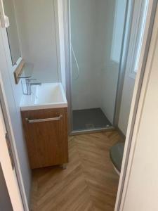 a bathroom with a shower and a sink and a mirror at Chez Maya 2 chambres dont suite parentale et 2 salles de bain dans camping 4 étoiles in Saint-Julien-en-Born