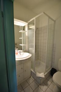 a bathroom with a shower and a sink and a toilet at Budget Flats Brussels in Brussels +67 photos