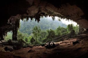 a cave with a view of a forest in the background at Lemonade Hotel in Gua Sai