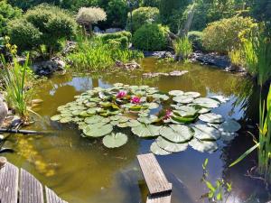 a pond with lily pads in a garden at NEU! Ferienwohnung Ebbe in Utarp