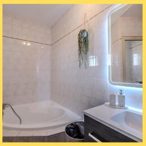 une salle de bain avec une baignoire, un lavabo et un miroir dans l'établissement Cocoon Suite Bastion, à Thonon-les-Bains 16 autres photos