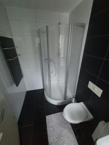 a bathroom with a shower and a toilet in it at Easy Flat in Aachen