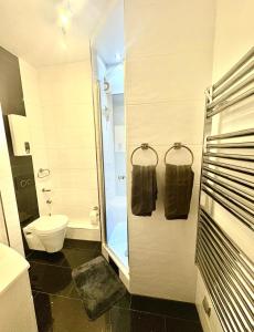 a bathroom with a toilet and a glass shower at Exclusives Apartment in Essen Rüttenscheid in Essen
