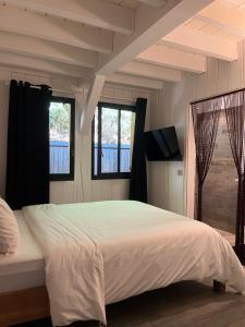 ein Schlafzimmer mit einem großen Bett und zwei Fenstern in der Unterkunft Chambre d'Hôtes - Village Petit Piquey in Cap-Ferret