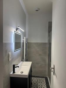a bathroom with a sink and a shower at Appartement centre ville Sigean in Sigean +9 photos
