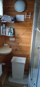 a bathroom with a toilet and a sink and a shower at Family Home in Fáskrúðsfjörður