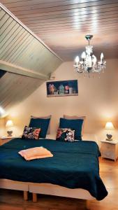 a bedroom with a large bed with a chandelier at Domaine de la Borde in Damparis +54 photos