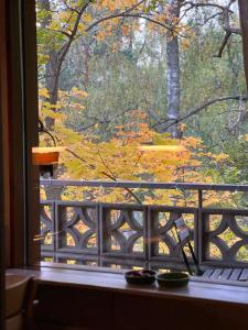 une fenêtre avec vue sur un parc avec des feuilles d'automne dans l'établissement Casa Peipponen, à Kuopio