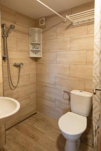 a bathroom with a toilet and a sink and a shower at Sklípek Nechory in Prušánky