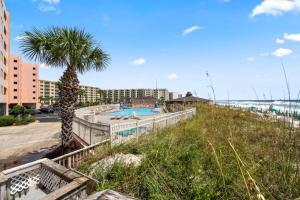 a palm tree and a swimming pool on a beach at Jetty East, Paradise Palms, Sleeps 4, Pool Private Beach in Destin